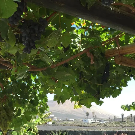 アパート Dragos Masdache