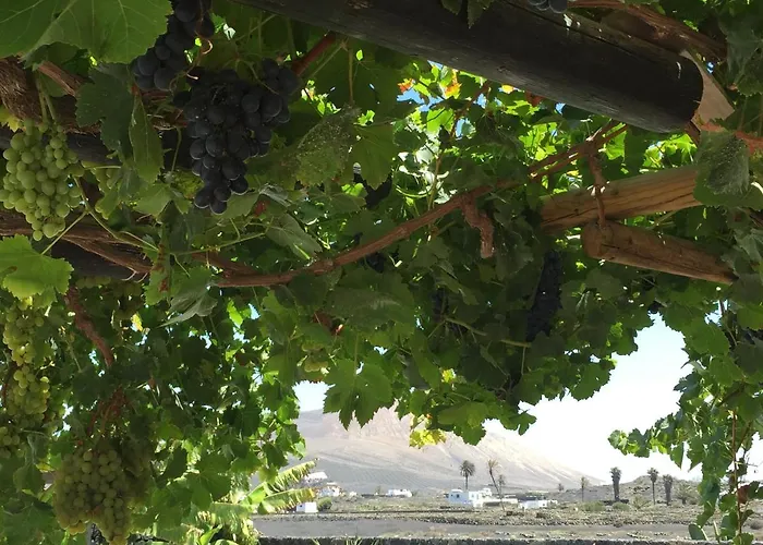 דירה Dragos Masdache